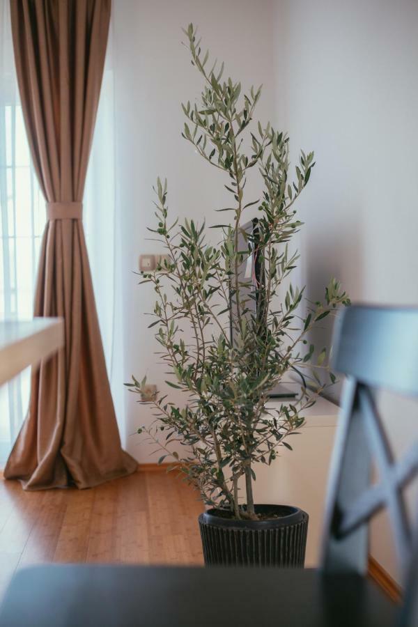 דירות פודסטראנה Maslina & Lavanda מראה חיצוני תמונה